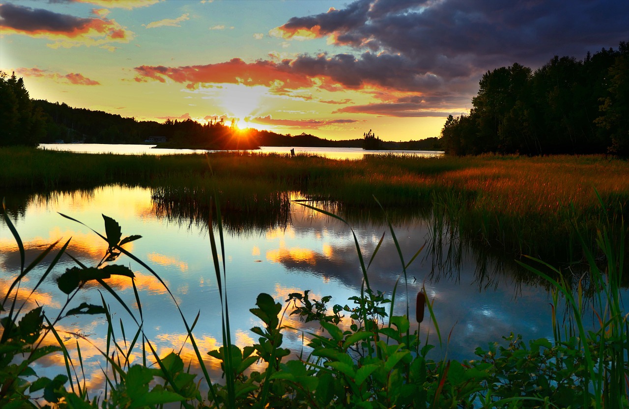 découvrez l'importance de la restauration des écosystèmes pour la biodiversité et la santé de notre planète. apprenez comment des initiatives globales et locales sont mises en œuvre pour restaurer des habitats, protéger les espèces menacées et promouvoir un avenir durable.