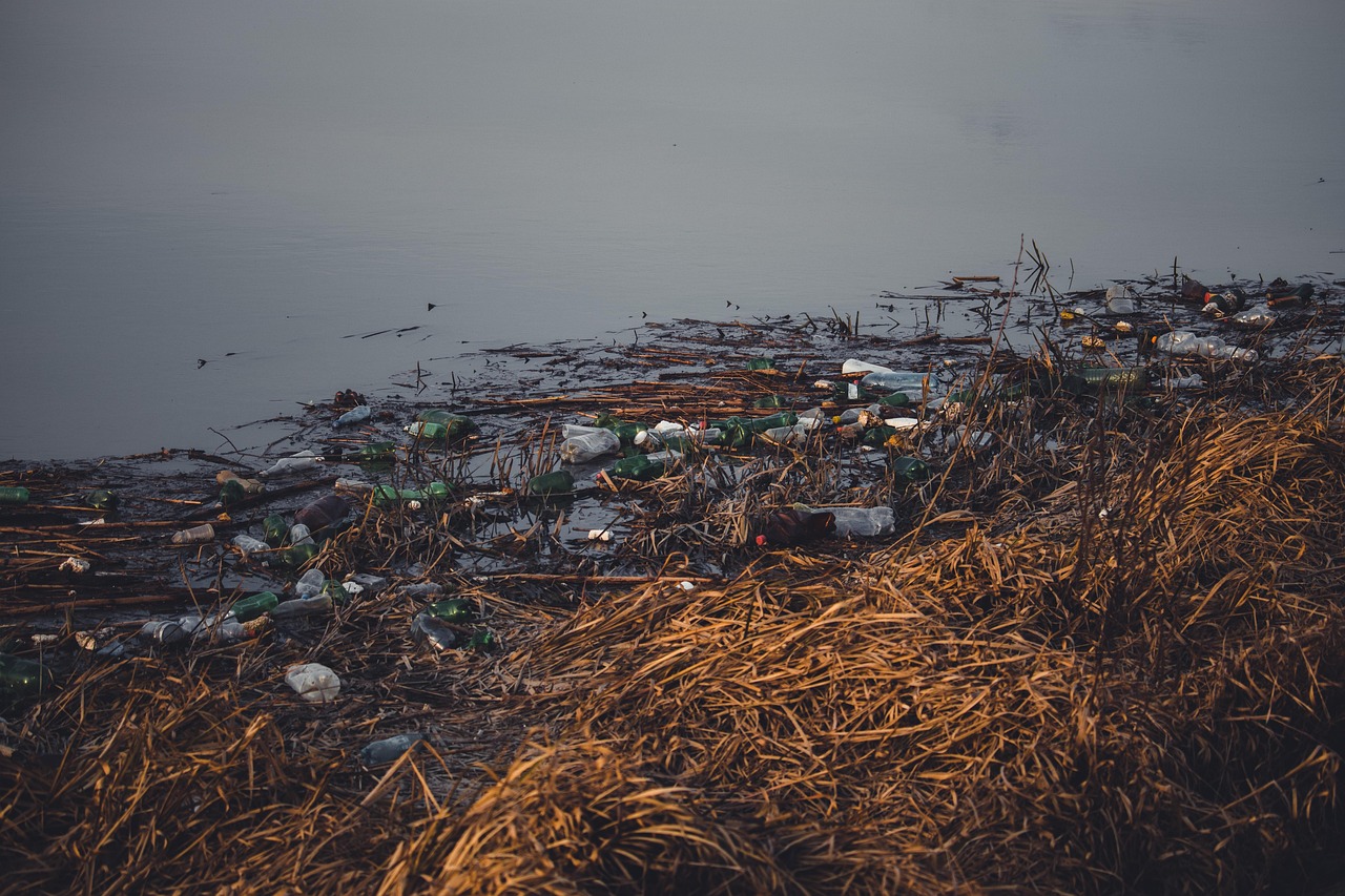 découvrez des stratégies efficaces pour réduire la pollution et préserver notre planète. apprenez comment adopter des pratiques durables et contribuer à un avenir plus sain tout en améliorant la qualité de vie au quotidien.