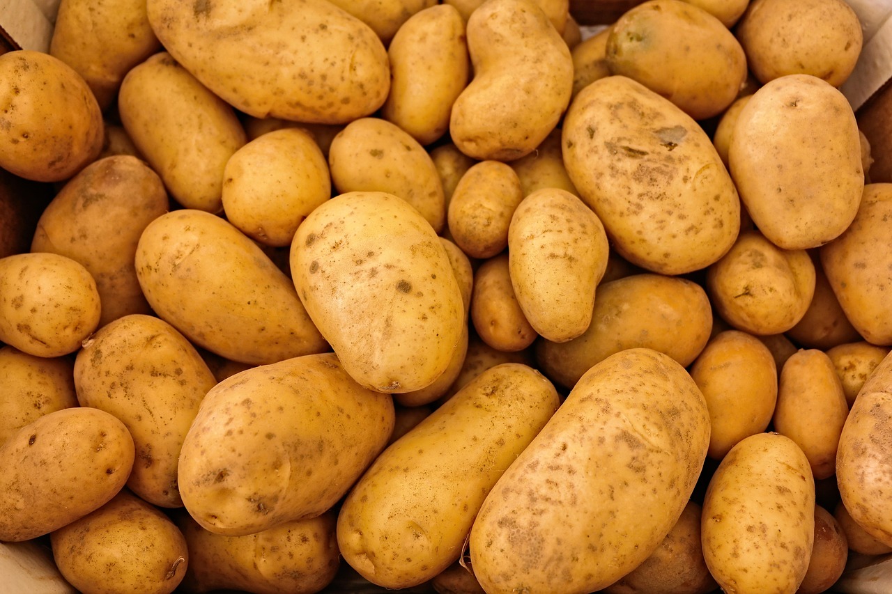 découvrez l'importance des cultures alimentaires durables pour préserver l'environnement, soutenir la biodiversité et assurer une production agricole responsable et éthique.