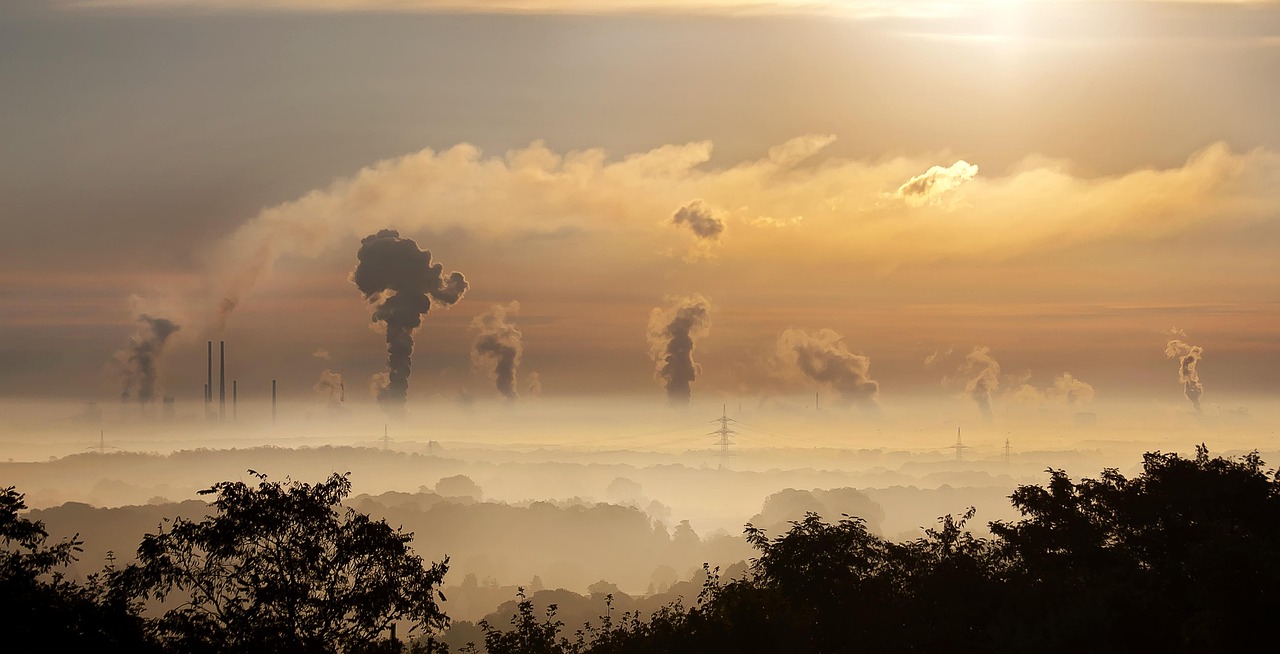 découvrez comment un amendement constitutionnel environnemental pourrait transformer notre approche de la protection de l'environnement, en intégrant des droits fondamentaux pour la nature et en garantissant un avenir durable pour les générations à venir.