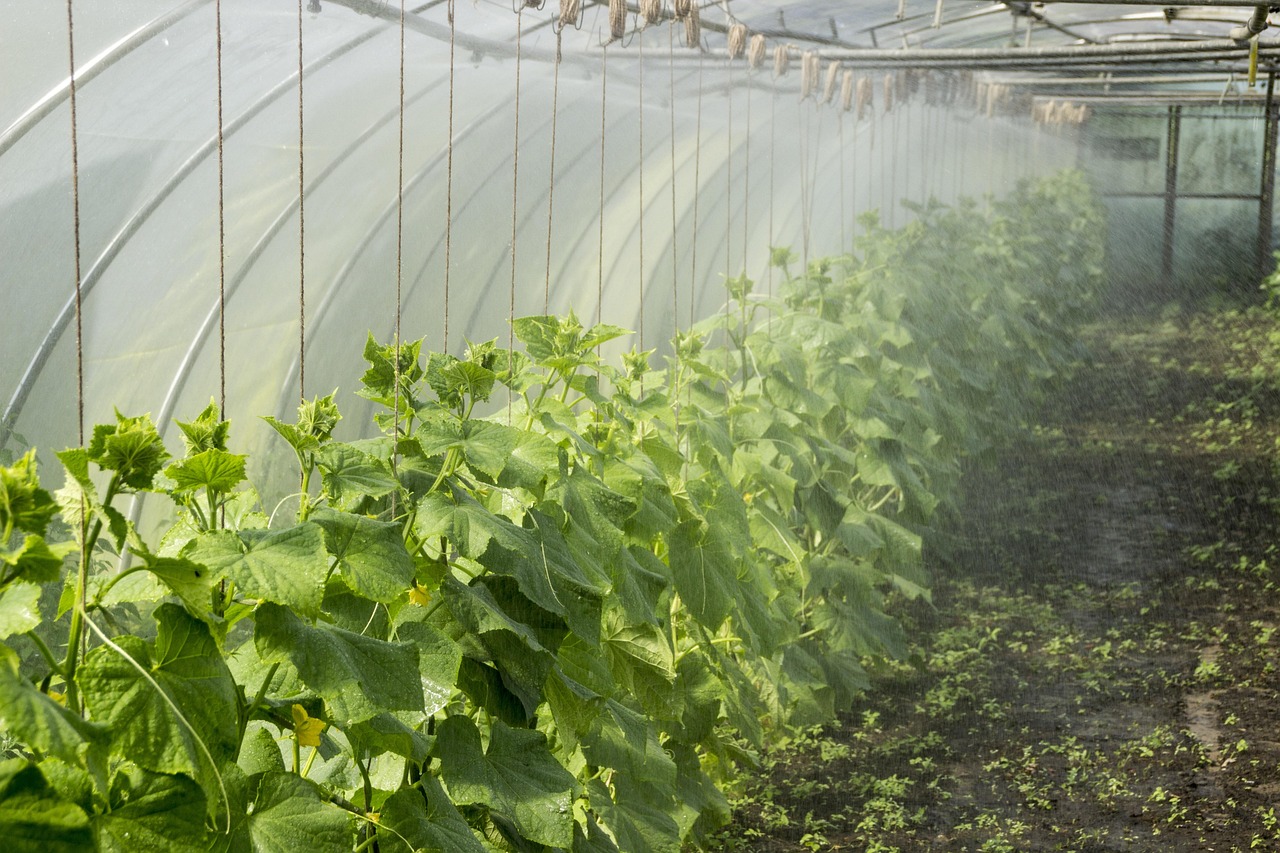 découvrez comment pratiquer la permaculture urbaine pour créer un jardin durable, productif et respectueux de l'environnement en milieu citadin.