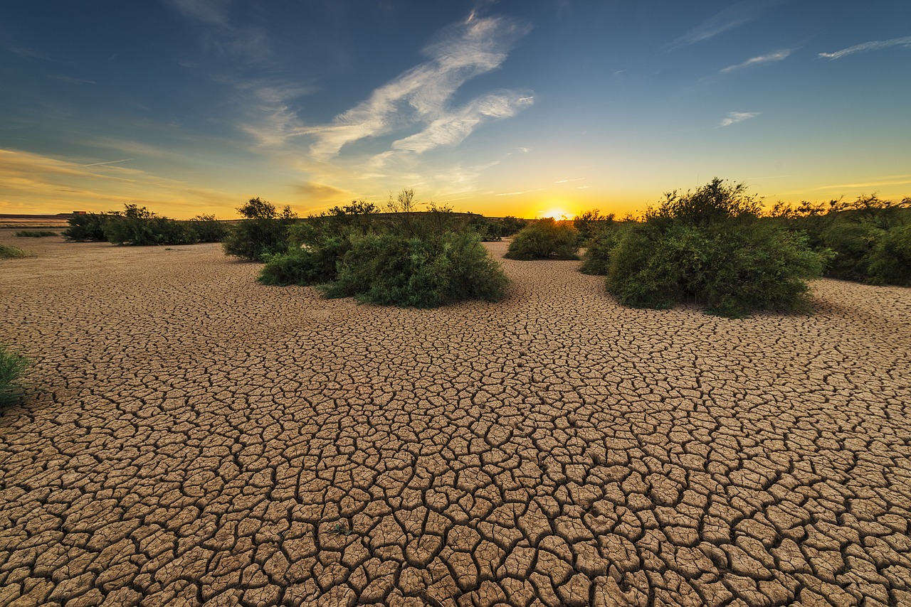 découvrez les impacts de la sécheresse sur l'environnement, l'agriculture et nos ressources en eau. explorez des solutions durables pour faire face à ce phénomène climatique croissant et assurer un avenir résilient face aux pénuries d'eau.