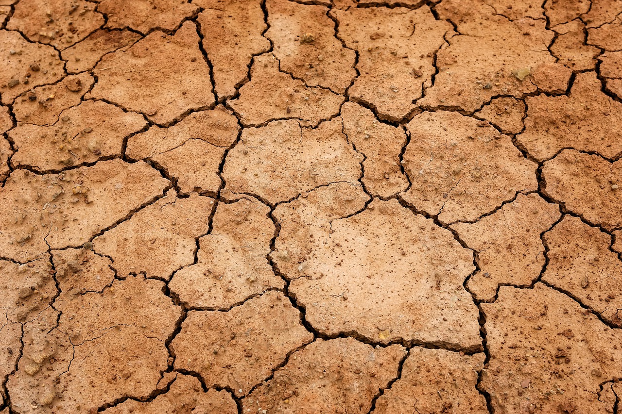 découvrez les impacts et les solutions face à la sécheresse : enjeux environnementaux, économiques et sociaux. informez-vous sur les méthodes de gestion de l'eau et les pratiques durables pour préserver notre planète.