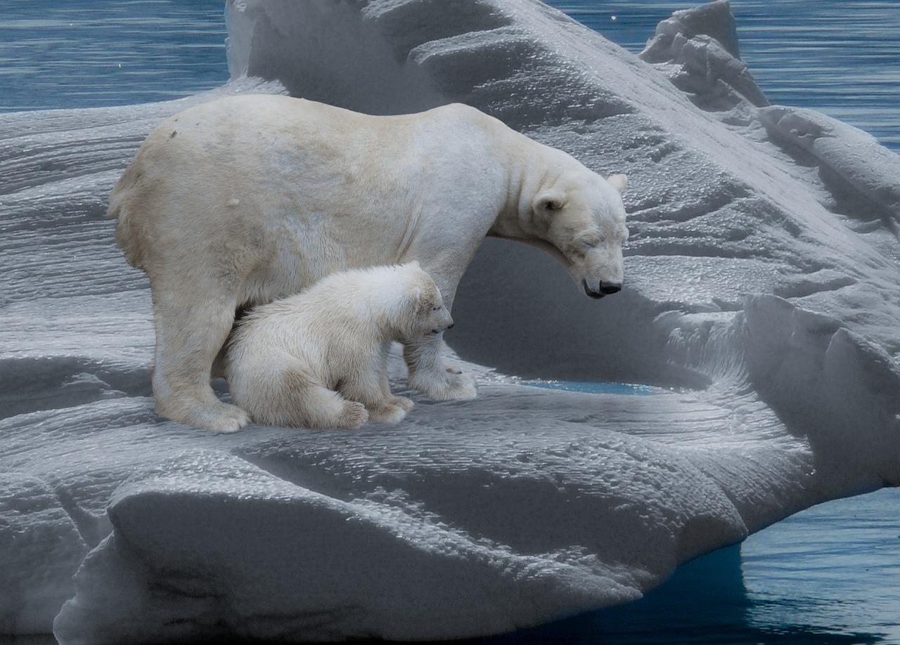 découvrez les enjeux du changement climatique, ses impacts sur notre planète et les solutions pour un futur durable. informez-vous sur les actions essentielles pour lutter contre ce phénomène mondial.