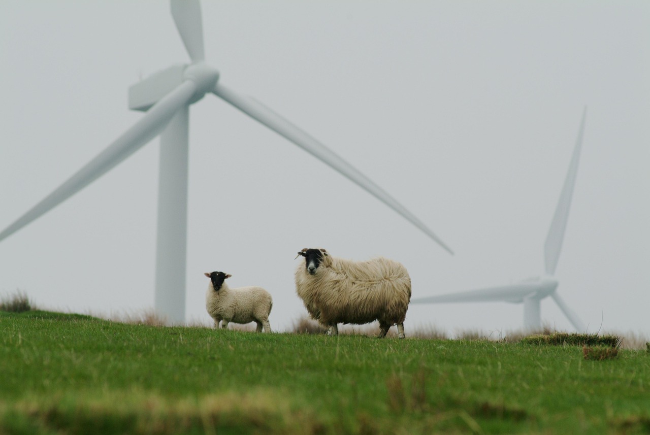 découvrez les principes de l'agriculture durable pour préserver les ressources naturelles tout en produisant des aliments sains et respectueux de l'environnement.