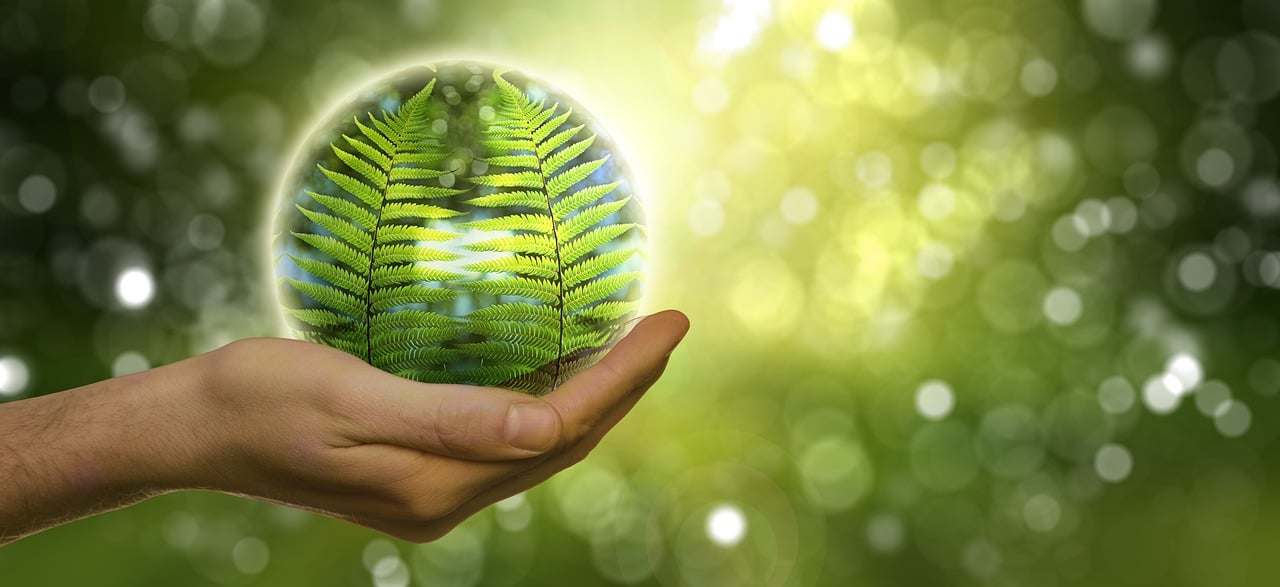 découvrez les indicateurs environnementaux, des outils essentiels pour évaluer la santé de notre planète. cette ressource vous informe sur leur importance, leur méthodologie et leur impact sur les politiques écologiques.
