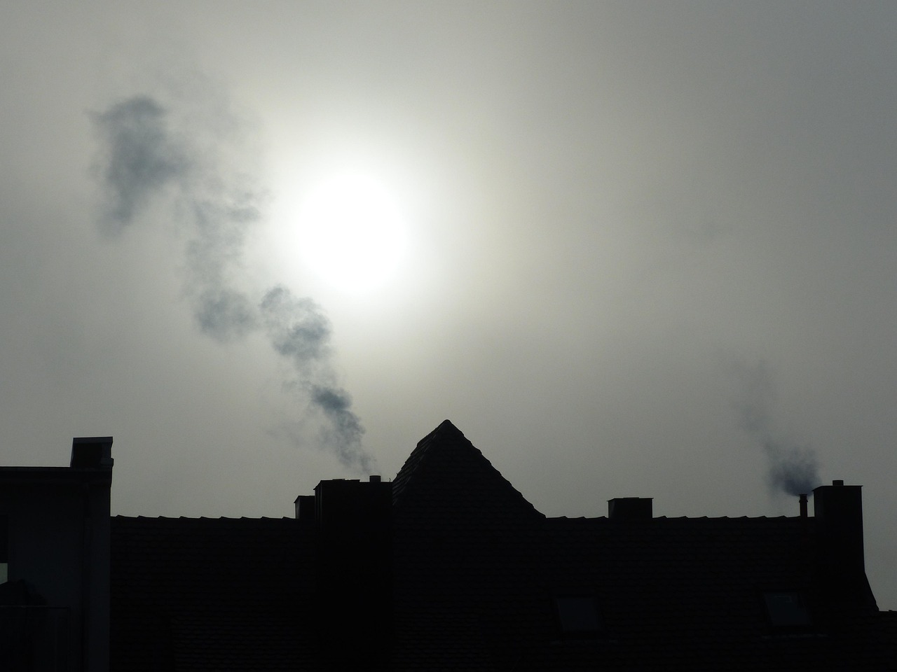 découvrez les principes du consommateur durable et apprenez comment faire des choix éthiques et bénéfiques pour l'environnement. adoptez un mode de vie responsable et participez à la préservation de notre planète tout en profitant d'une consommation réfléchie.