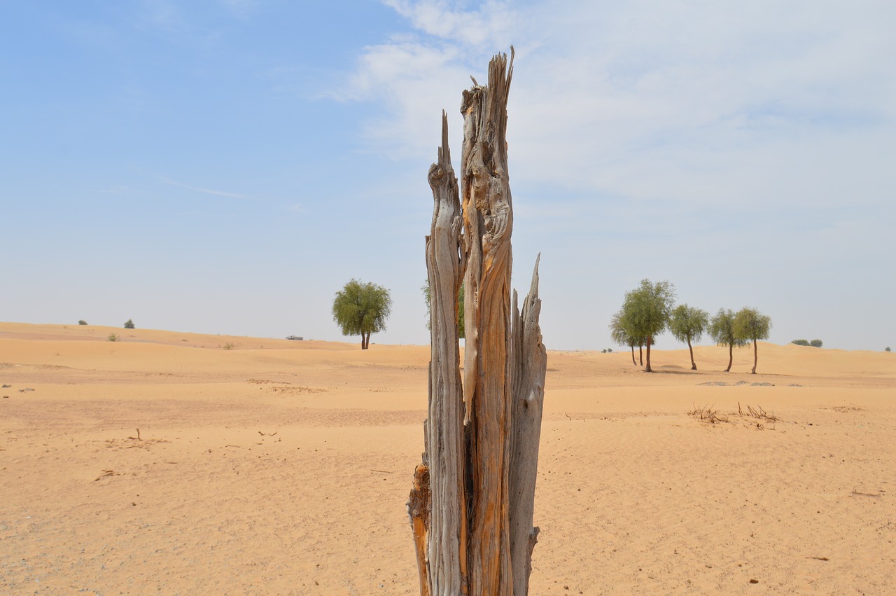 découvrez les enjeux de la déforestation, ses causes et ses conséquences sur la biodiversité et le climat. informez-vous sur les solutions durables pour préserver nos forêts.