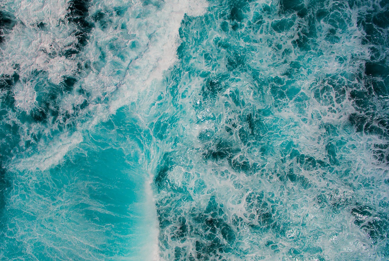 découvrez la beauté et la grandeur de l'océan, un univers fascinant rempli de mystères, de vie marine abondante et de paysages à couper le souffle.