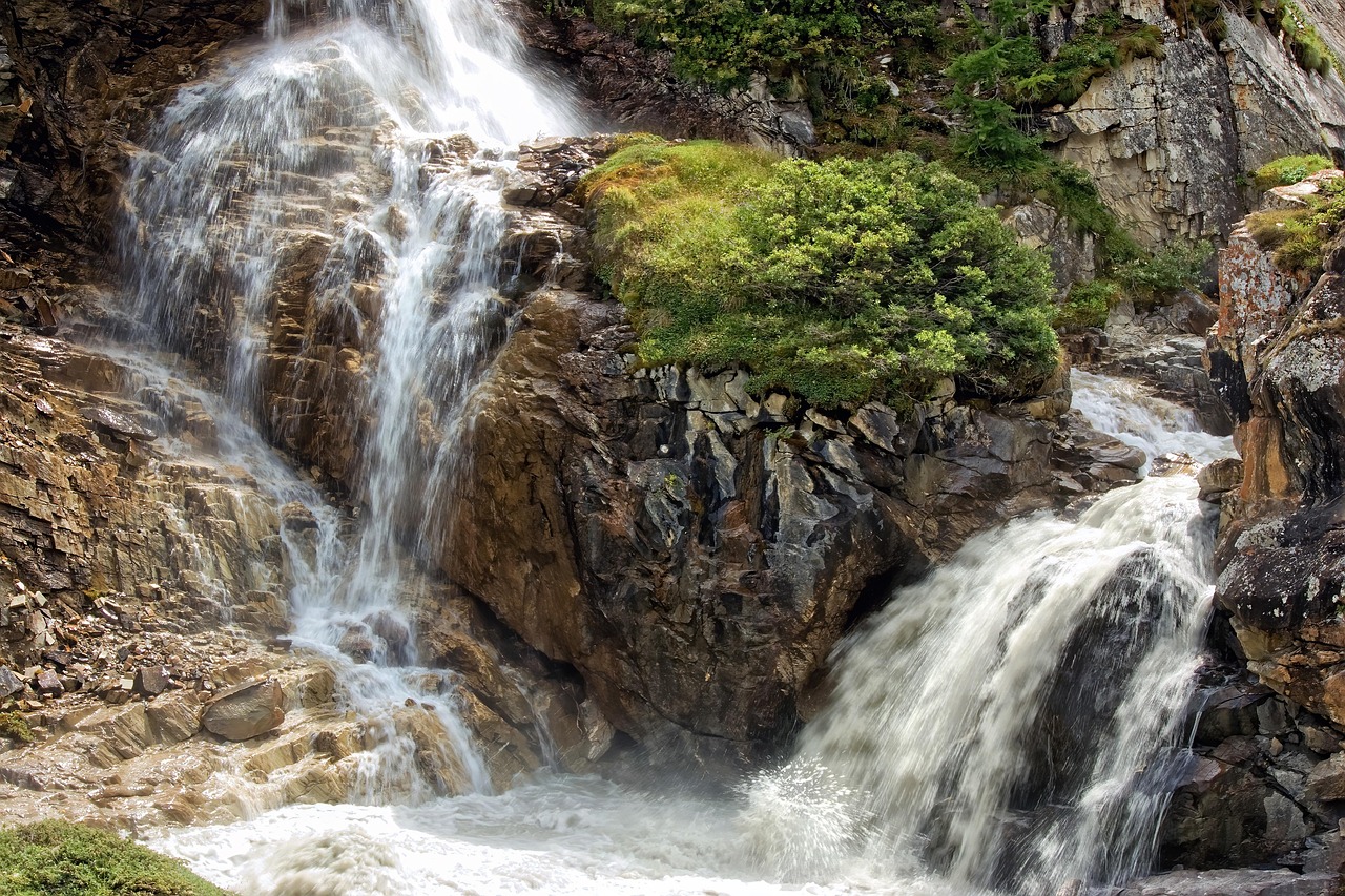 découvrez des informations et des ressources essentielles sur l'environnement, la protection de la nature et le développement durable pour un avenir plus vert.