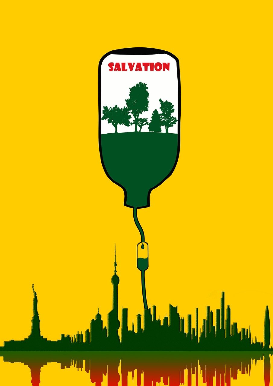 découvrez l'écologie urbaine, l'étude des interactions entre les organismes vivants et leur environnement dans les milieux urbains pour un développement durable.