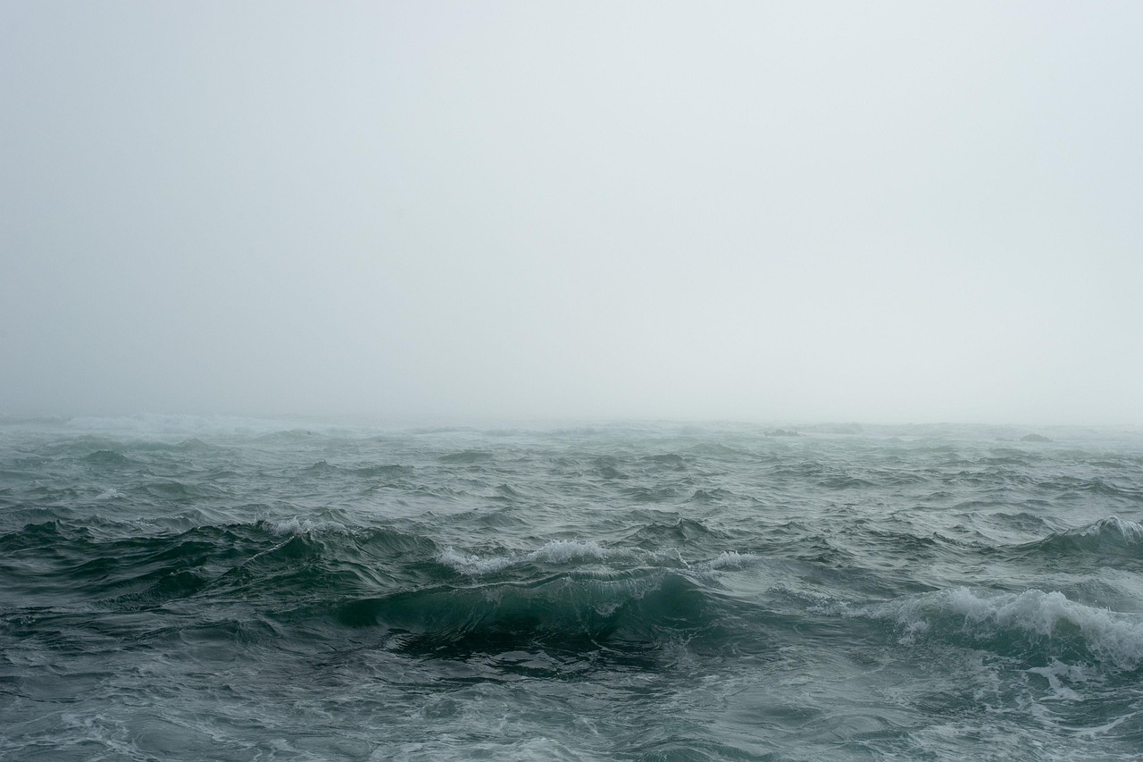 découvrez la beauté et la puissance de l'océan, un monde fascinant de vie marine, d'aventures nautiques et de paysages à couper le souffle.