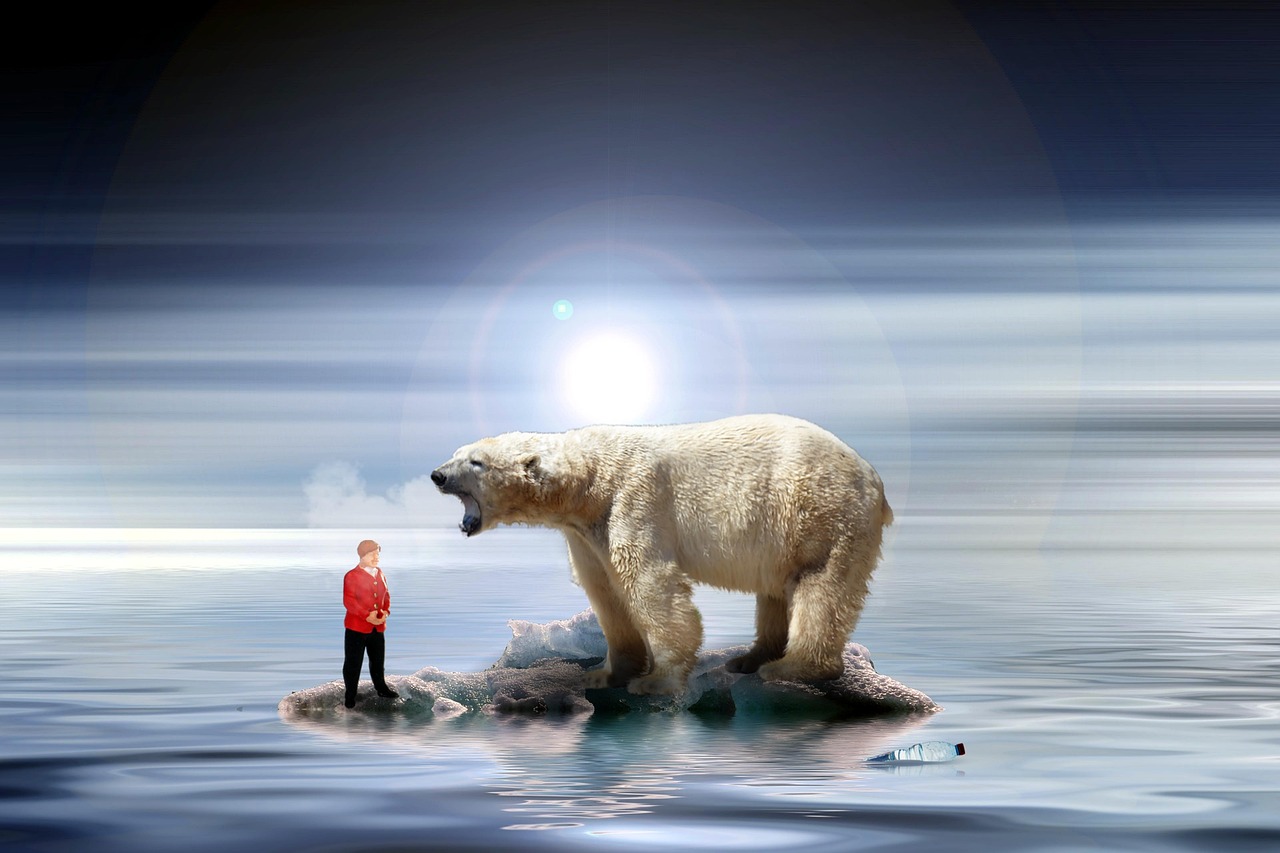 découvrez nos politiques environnementales, engagées pour la protection de la planète et la promotion du développement durable.