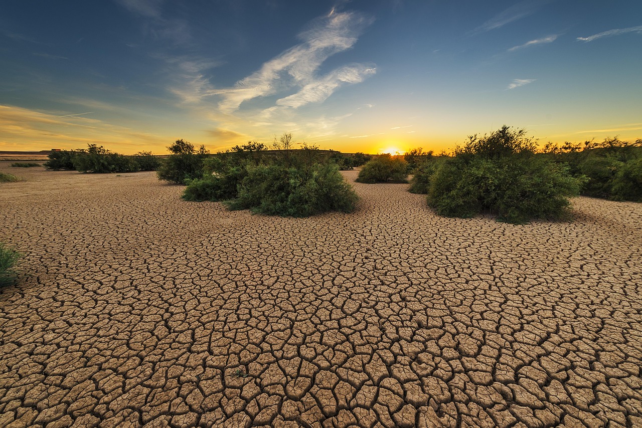 découvrez ce qu'est la sécheresse, ses causes, ses conséquences sur l'environnement et les solutions possibles pour limiter ses impacts sur la société et la nature.