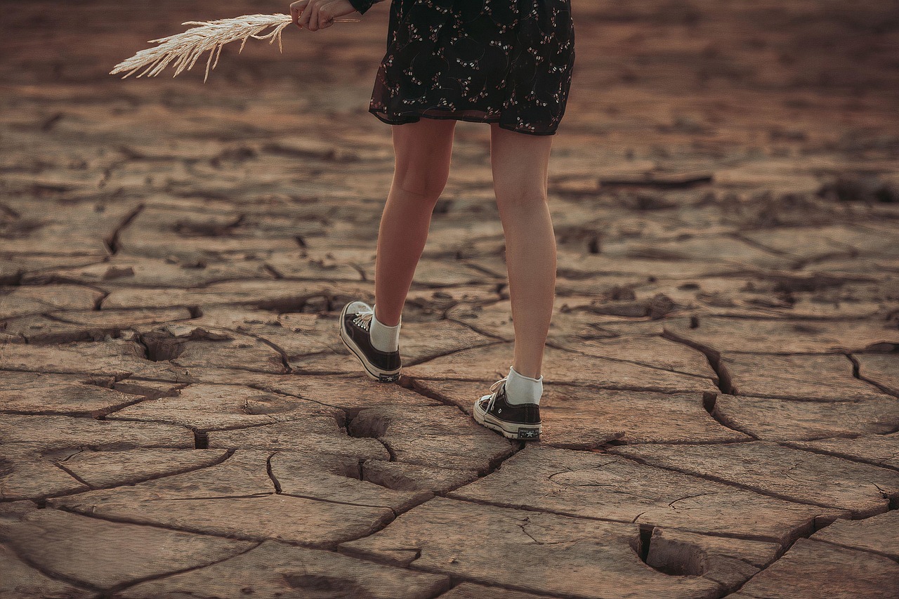 découvrez comment le changement climatique influence les écosystèmes à différentes altitudes et les conséquences sur la biodiversité et les communautés locales.