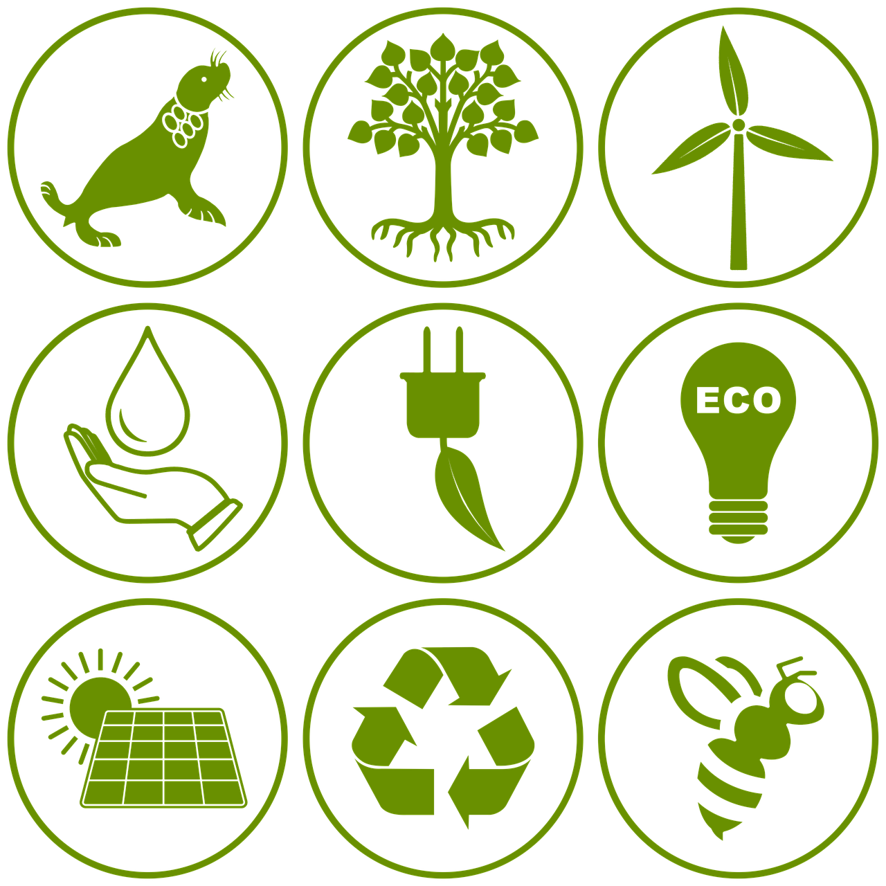 découvrez l'importance de la protection de l'environnement et les actions concrètes que chacun peut entreprendre pour préserver notre planète. engages-toi pour un avenir durable.