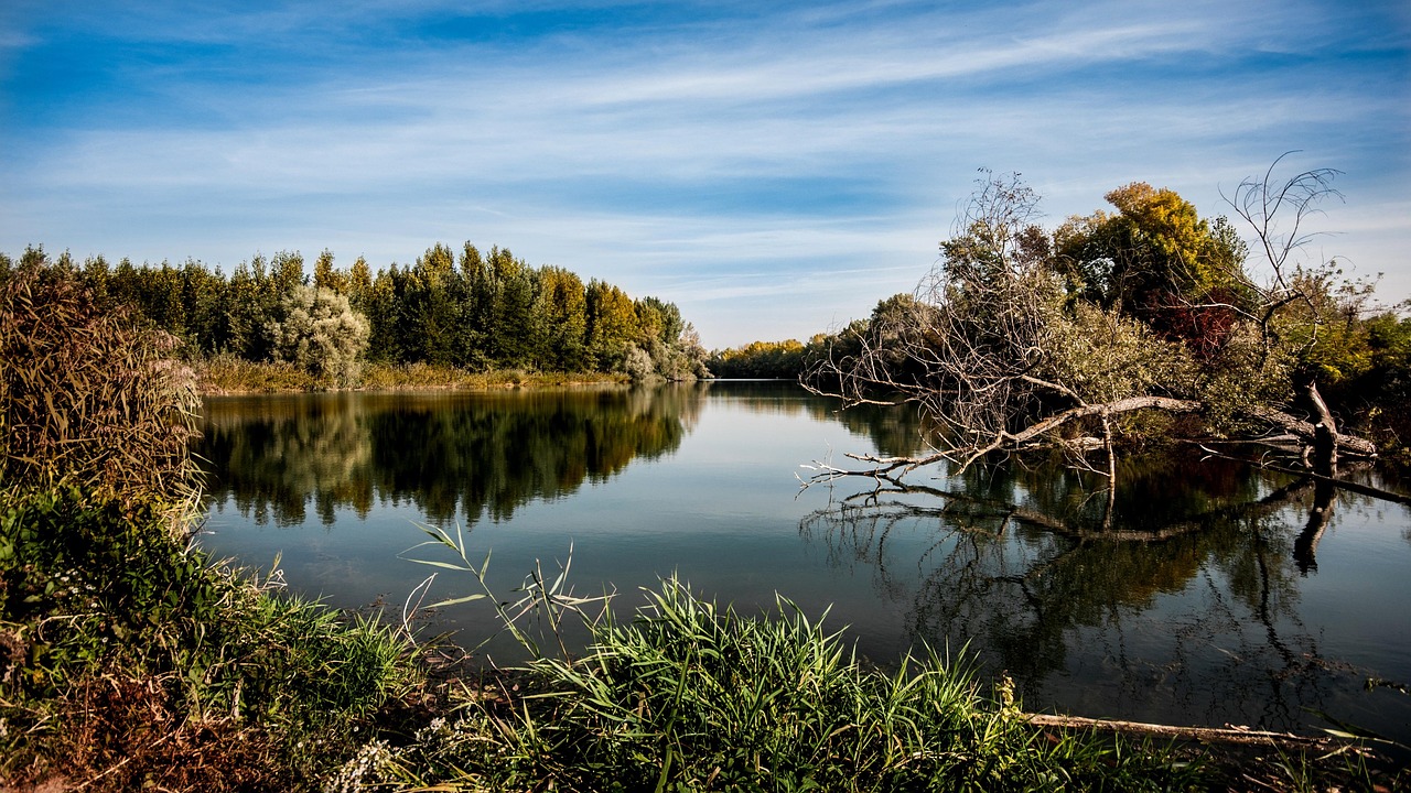 découvrez l'importance de l'environnement et son impact sur notre planète. apprenez-en davantage sur les défis écologiques, les initiatives durables et comment chacun peut contribuer à la préservation de notre écosystème pour les générations futures.