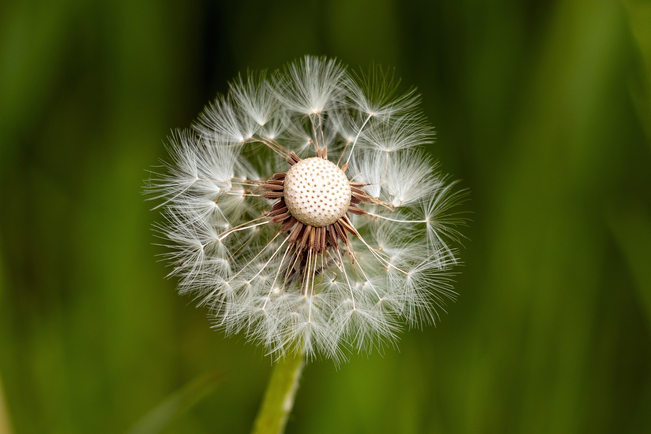 découvrez la résilience : sa définition, ses bienfaits et des conseils pratiques pour développer votre capacité à surmonter les épreuves et rebondir face aux difficultés de la vie.