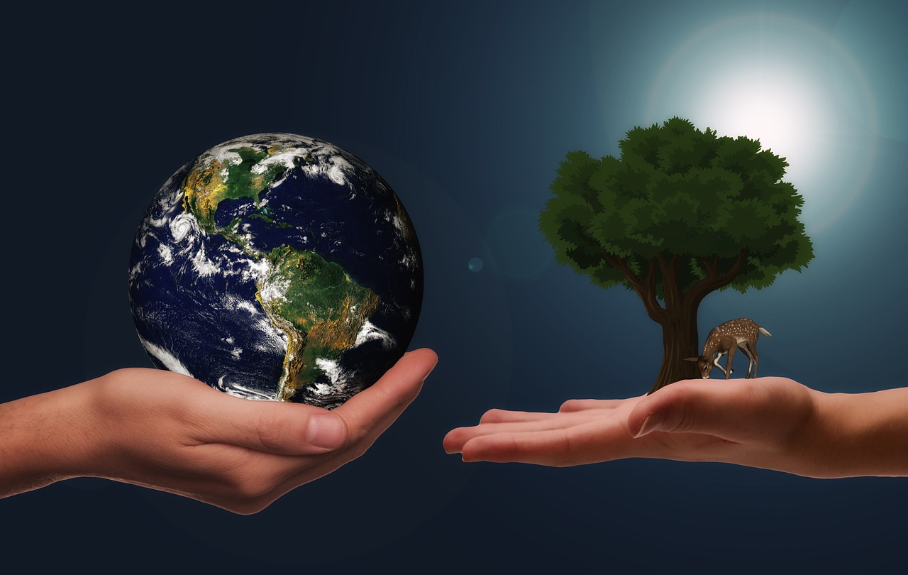 découvrez les principes de l'éthique environnementale, qui explore les relations morales entre les humains et la nature pour promouvoir un développement durable et responsable.
