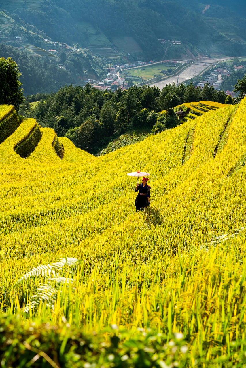 découvrez l'agriculture biodynamique : une méthode agricole durable qui respecte les cycles naturels, favorise la biodiversité et améliore la santé des sols pour une production alimentaire plus saine et respectueuse de l'environnement.