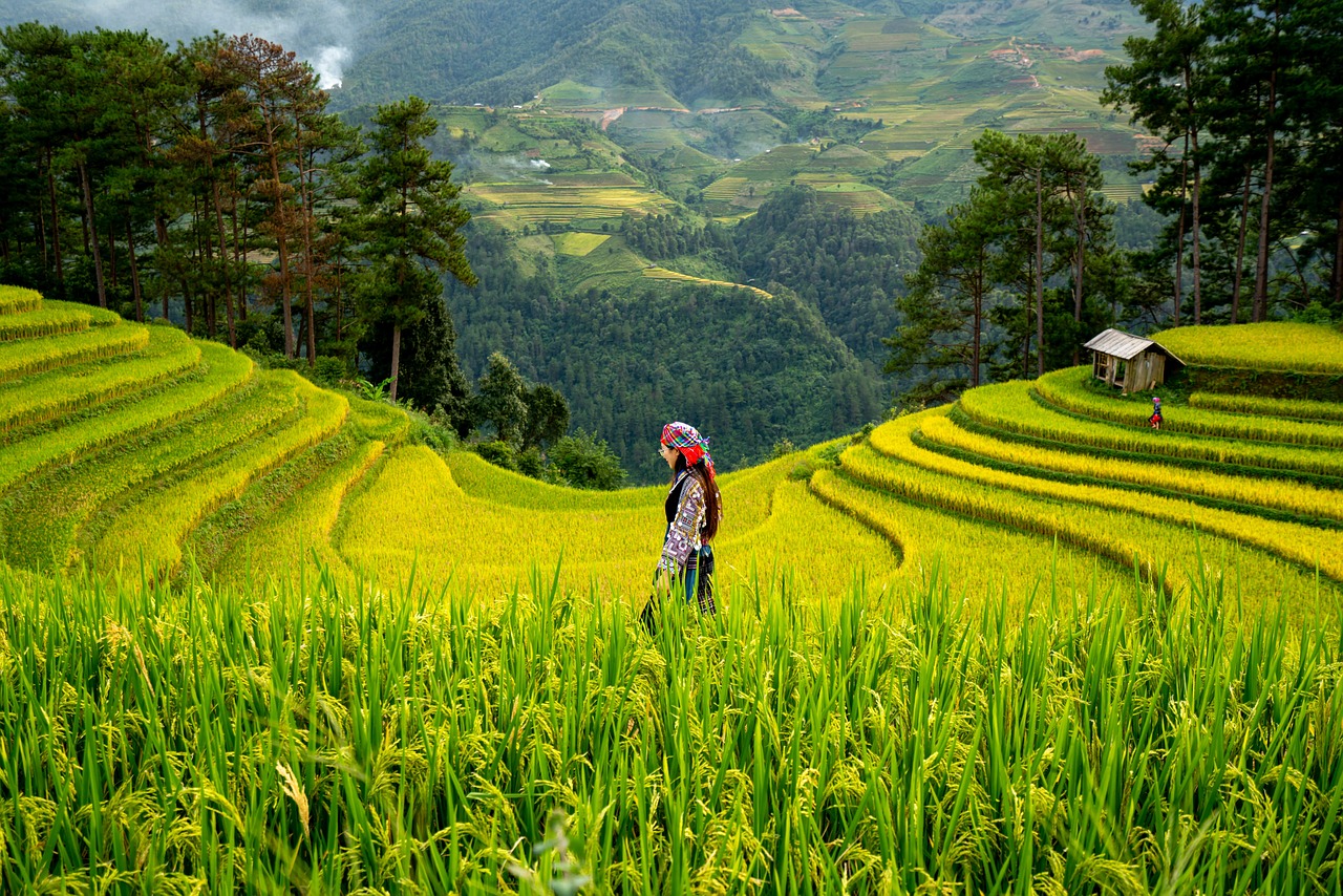 découvrez l'agriculture biodynamique, une méthode de culture respectueuse de la nature qui favorise la biodiversité, la fertilité des sols et des pratiques durables pour une alimentation saine et éthique.