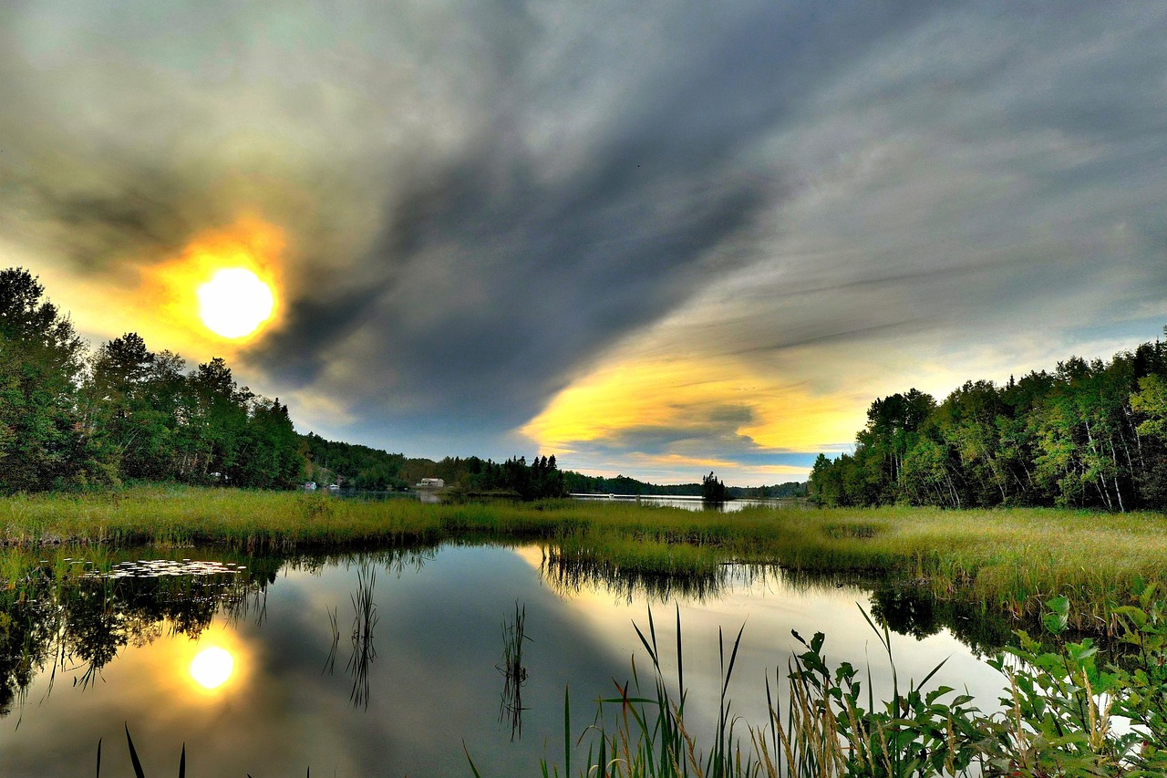 explorez la richesse de la biodiversité, un pilier essentiel de notre planète. découvrez comment la diversité des espèces et des écosystèmes contribue à maintenir l'équilibre écologique et à répondre aux défis environnementaux. plongez dans l'importance de la préservation de notre patrimoine naturel.