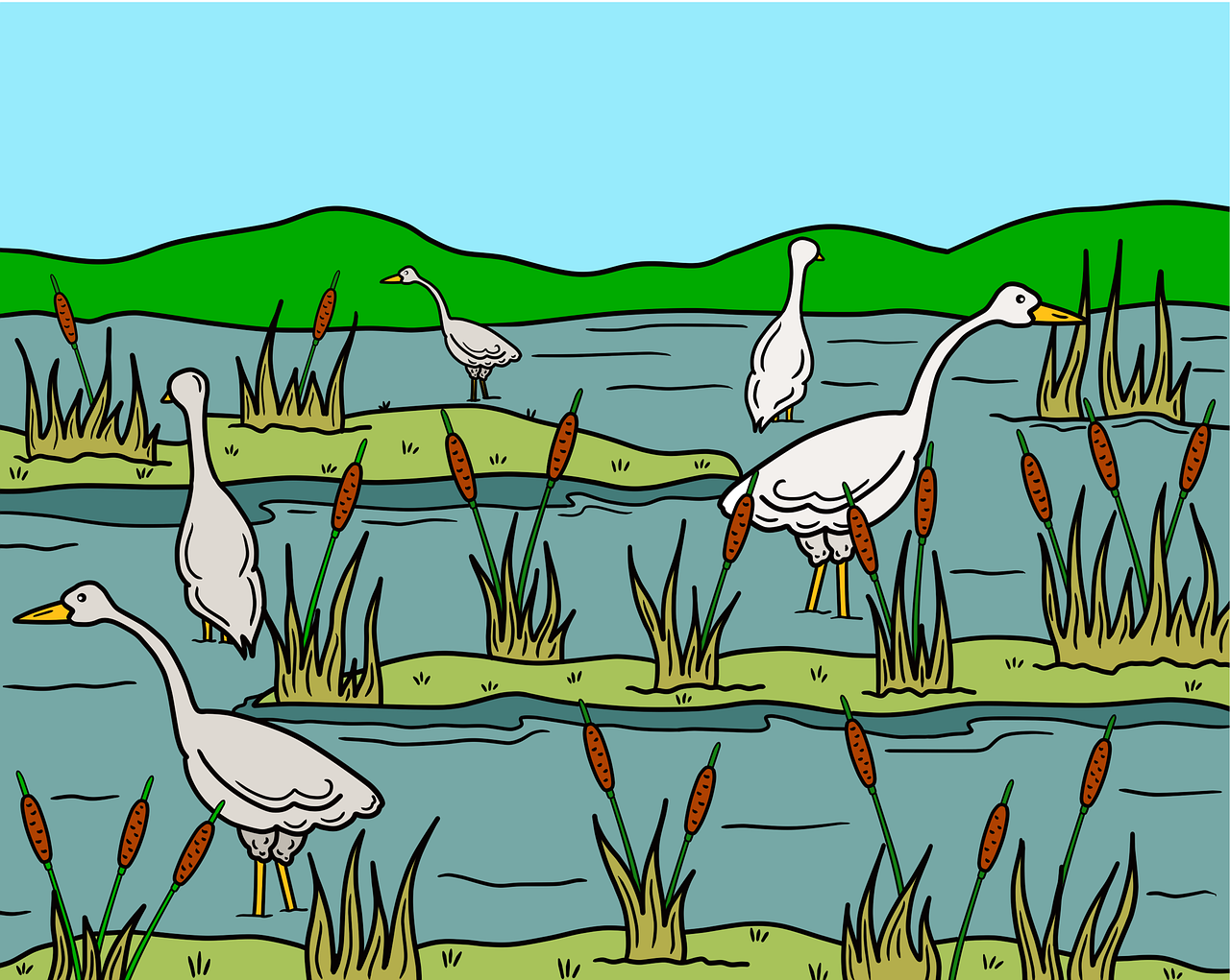 découvrez les écosystèmes d'eau douce : leur importance, leur biodiversité unique et les enjeux de leur préservation pour l'environnement et l'humanité.