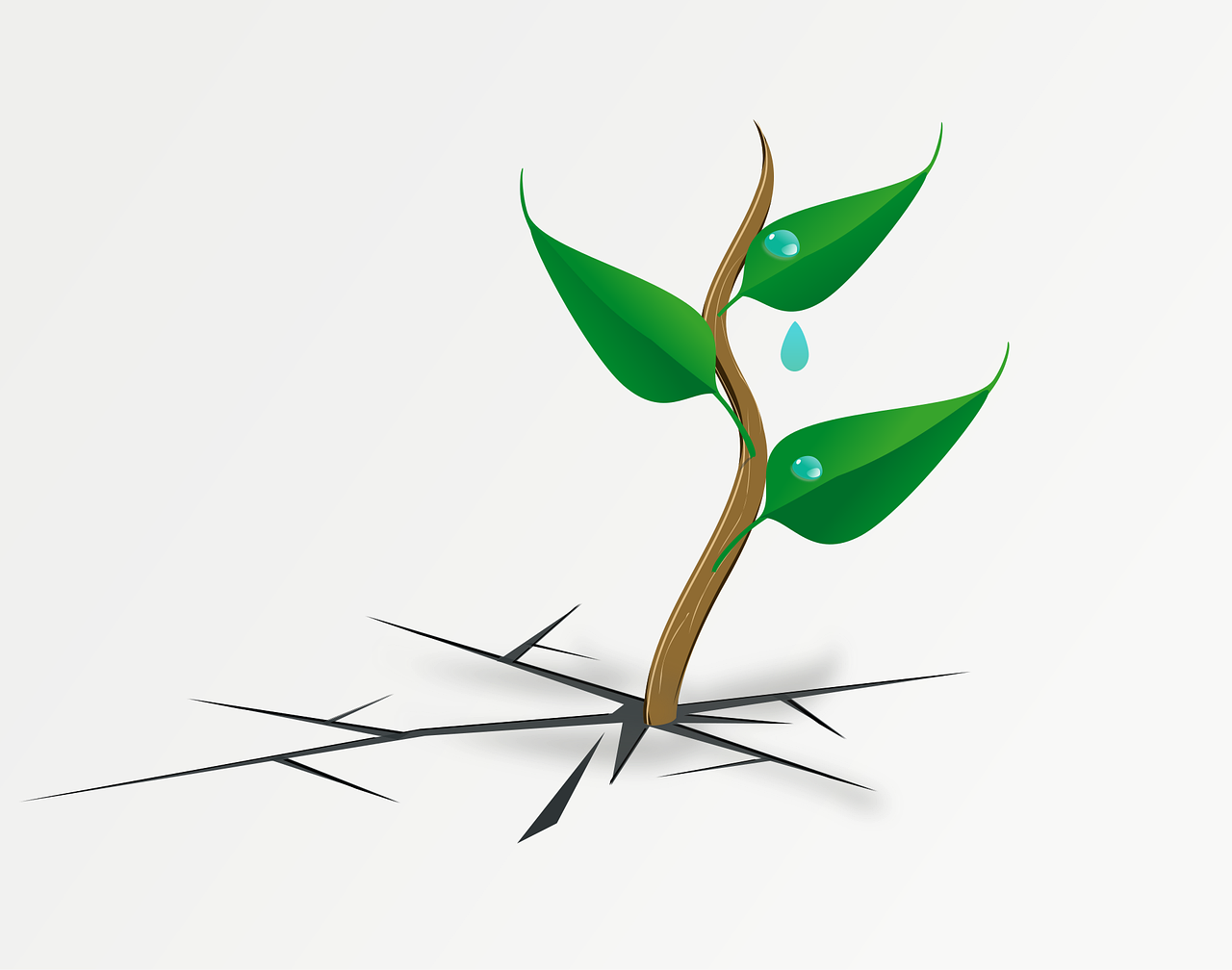 découvrez comment renforcer la résilience climatique en adoptant des stratégies innovantes pour faire face aux défis environnementaux et protéger notre avenir.