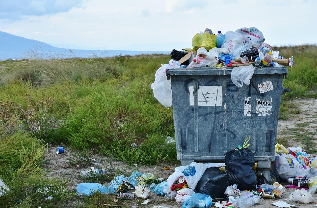 découvrez des solutions innovantes pour réduire le gaspillage alimentaire et adopter des pratiques durables au quotidien.