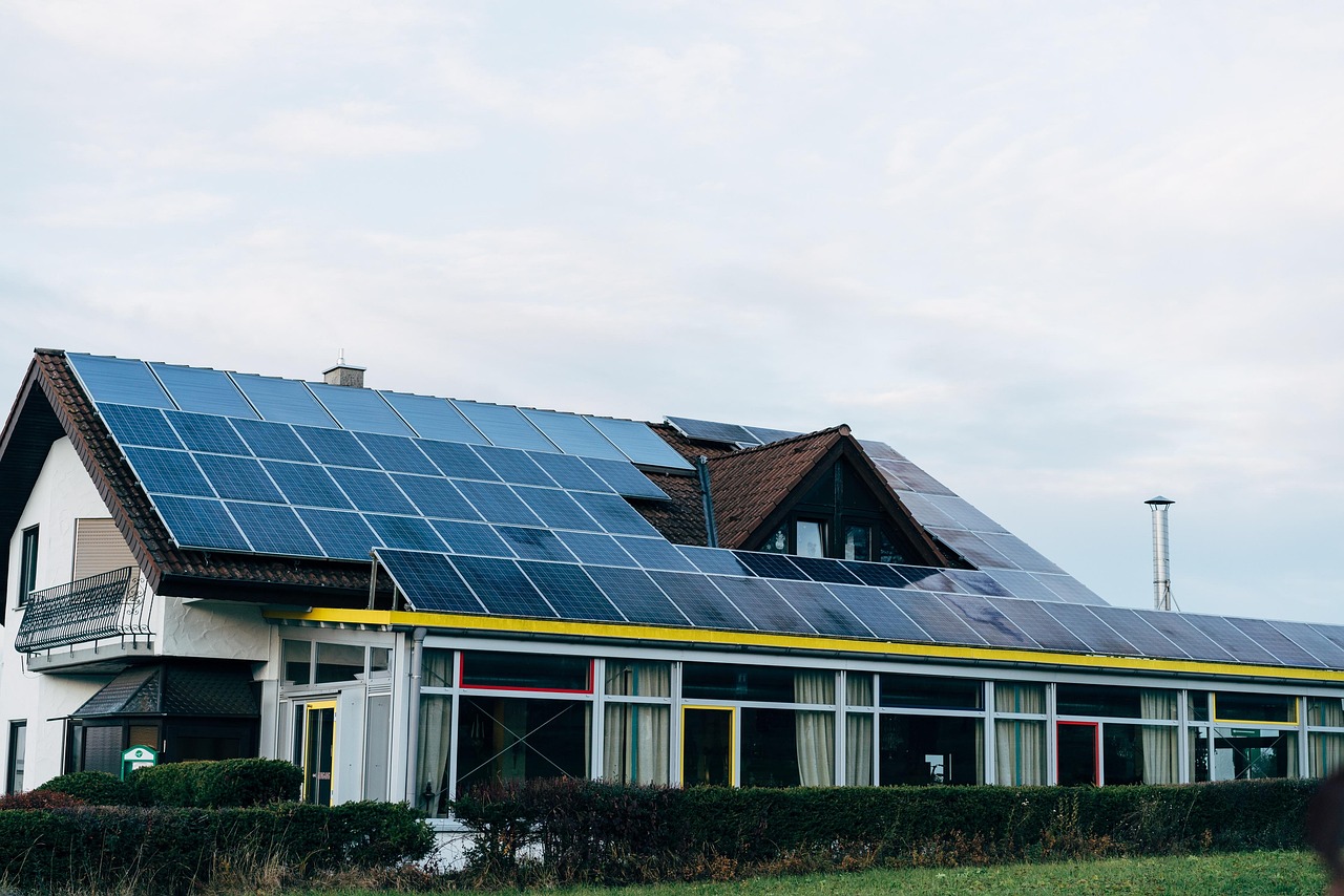 adoptez un mode de vie durable grâce à des conseils pratiques et des astuces écologiques pour réduire votre impact environnemental au quotidien.