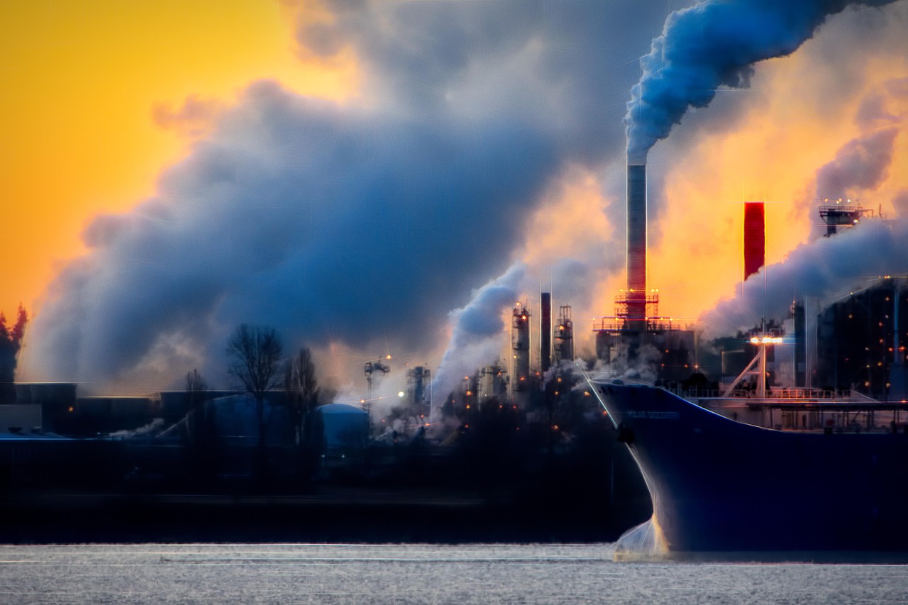 découvrez l'impact environnemental et les enjeux écologiques associés, ainsi que des solutions pour préserver notre planète face aux défis actuels.