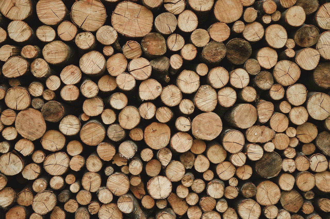 découvrez les enjeux majeurs de la déforestation, ses causes, ses conséquences sur l'environnement et la biodiversité, ainsi que les solutions durables pour préserver nos forêts et lutter contre ce phénomène alarmant.