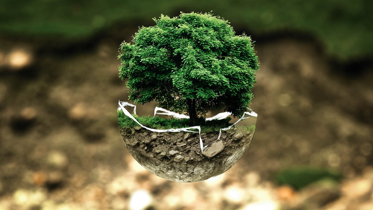 découvrez comment l’engagement en faveur de l’environnement peut favoriser un avenir plus sain et durable. conseils, actualités et moyens d’agir pour protéger la planète.