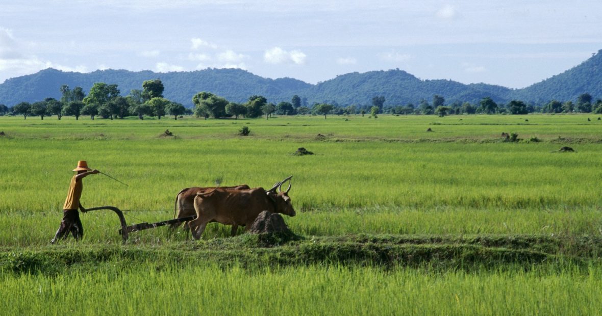 Changement climatique, environnement et action humanitaire en Asie du Sud-Est