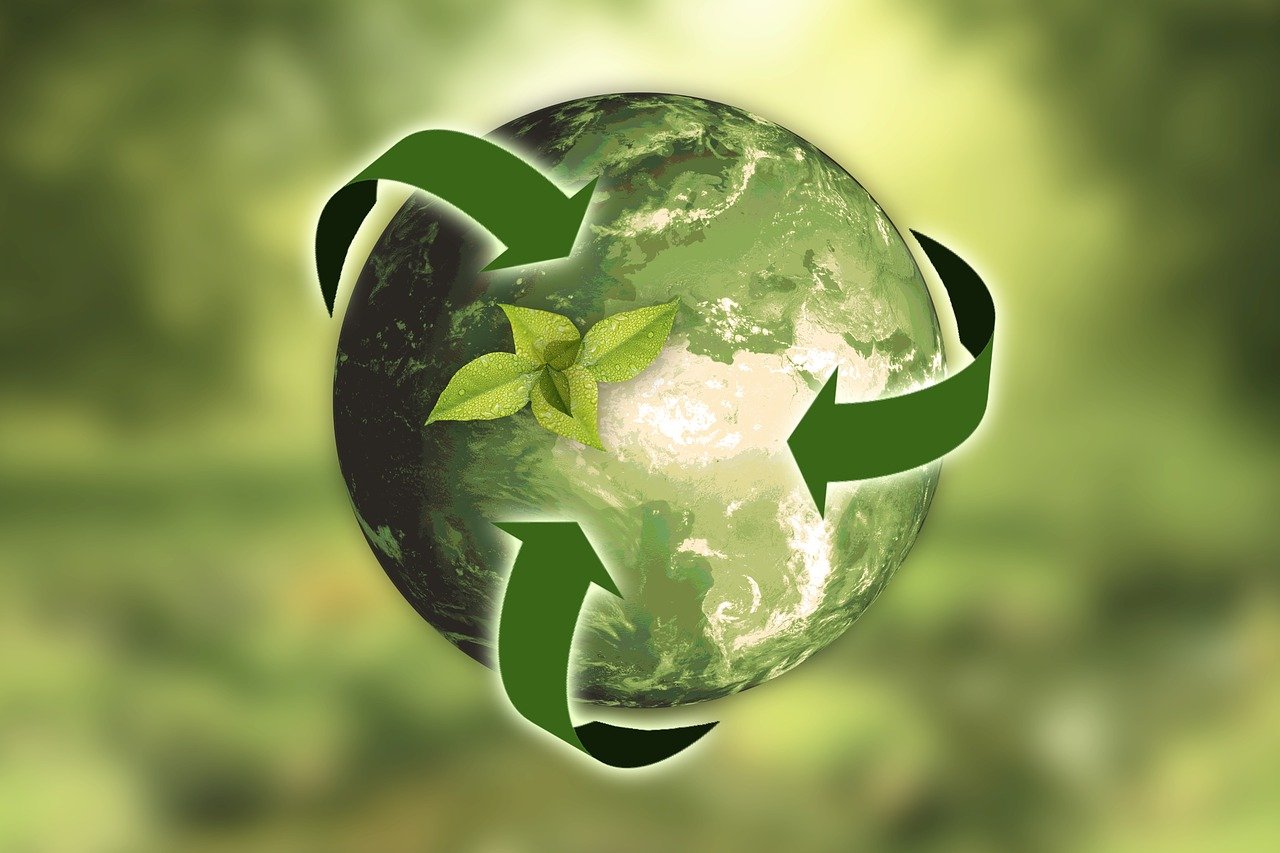découvrez notre engagement pour la durabilité à travers des pratiques respectueuses de l'environnement, des initiatives écoresponsables et des solutions innovantes visant à préserver notre planète pour les générations futures.