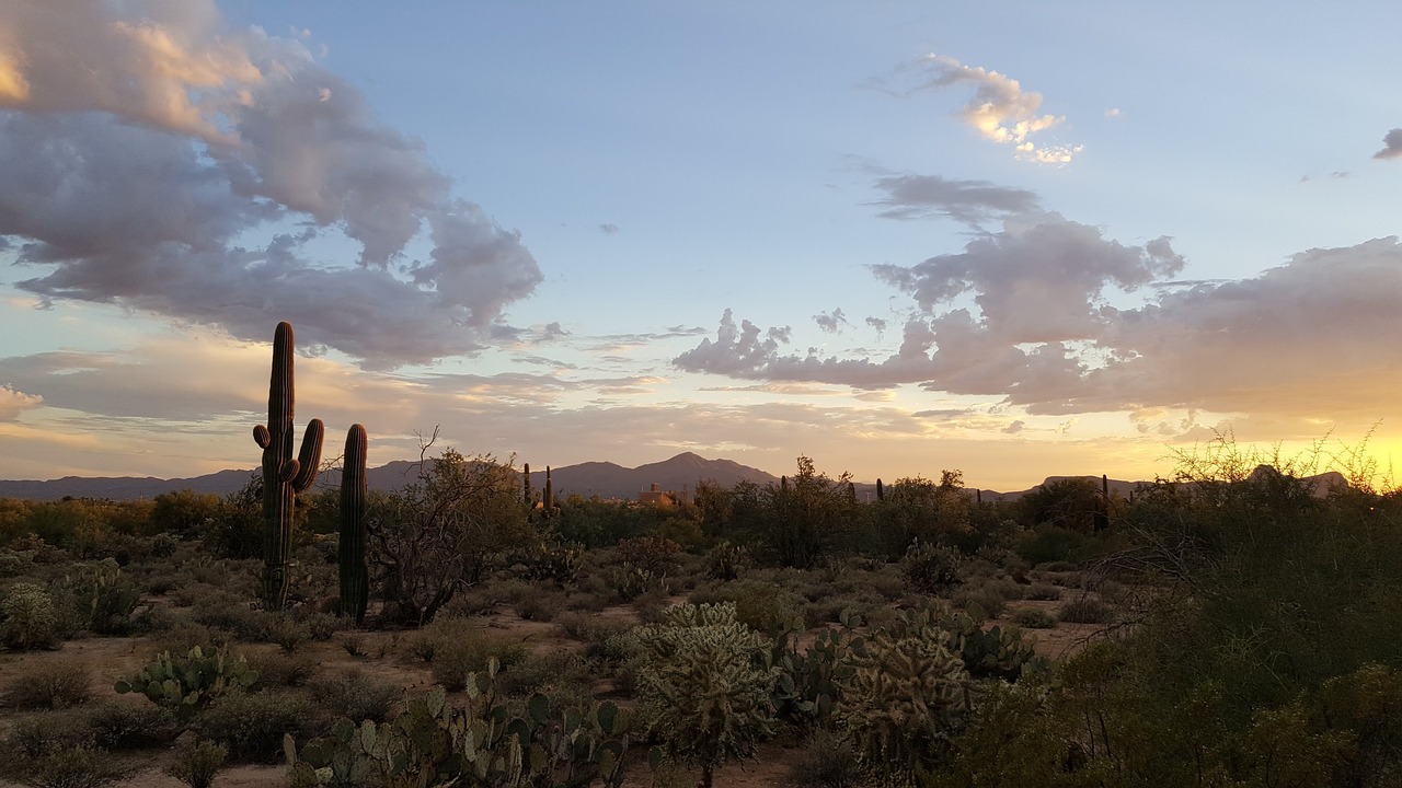 découvrez l'arizona, un état fascinant des états-unis, célèbre pour ses paysages désertiques spectaculaires, le grand canyon, et sa riche culture amérindienne. explorez ses parcs nationaux, ses villes vibrantes comme phoenix et tucson, et laissez-vous séduire par le climat ensoleillé tout au long de l'année.