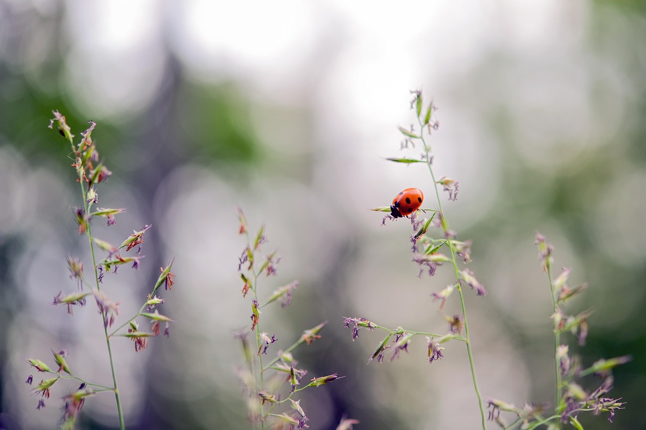 découvrez comment la jeunesse s'engage dans la protection de l'environnement pour un avenir durable et respectueux de la planète.