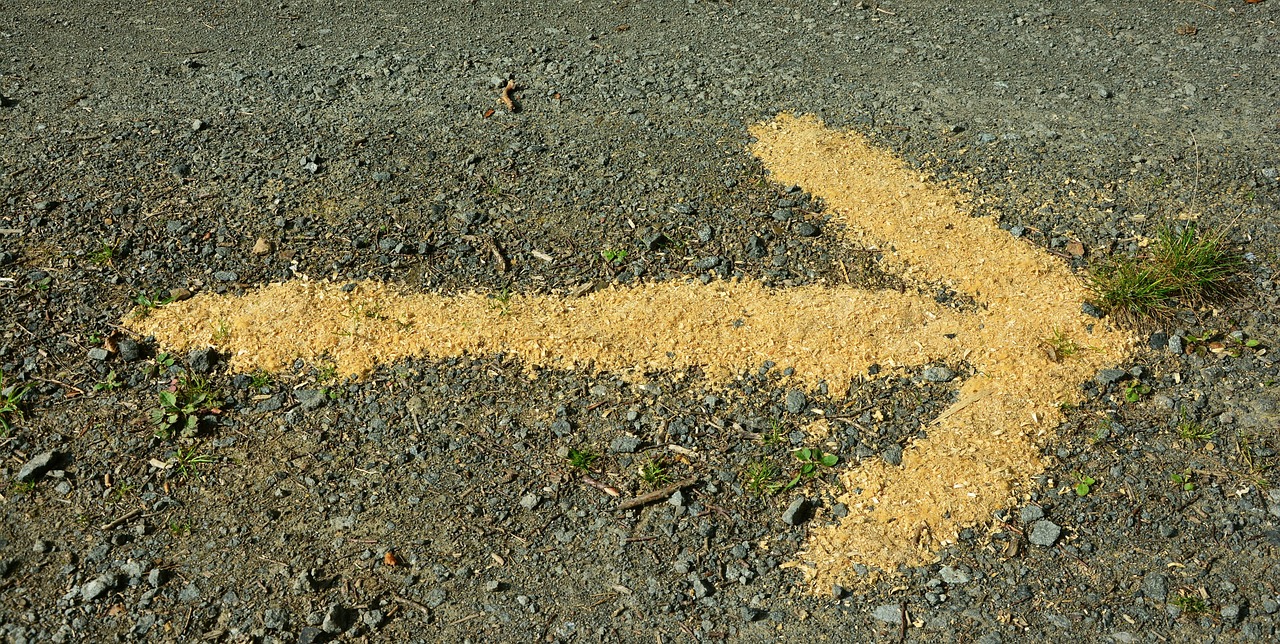 découvrez le droit à un environnement sain, garantissant la protection de la nature et la santé des individus pour un avenir durable.