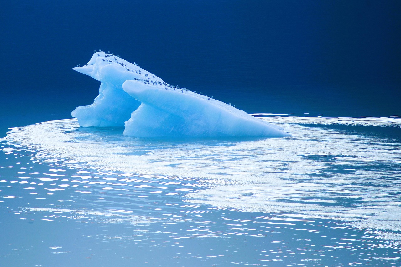 découvrez l'importance de l'urgence climatique dans notre monde contemporain. agissons dès maintenant pour protéger notre planète et garantir un futur durable pour les générations à venir. explorez les défis et les solutions face à cette crise imminente.