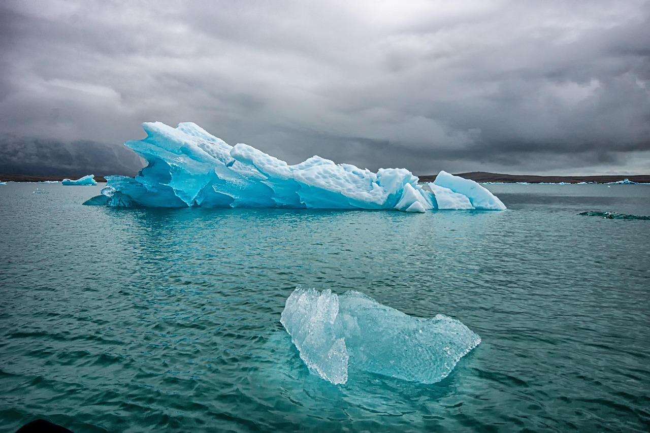 découvrez tout sur l'environnement : protection de la nature, développement durable, biodiversité et enjeux écologiques pour préserver notre planète.