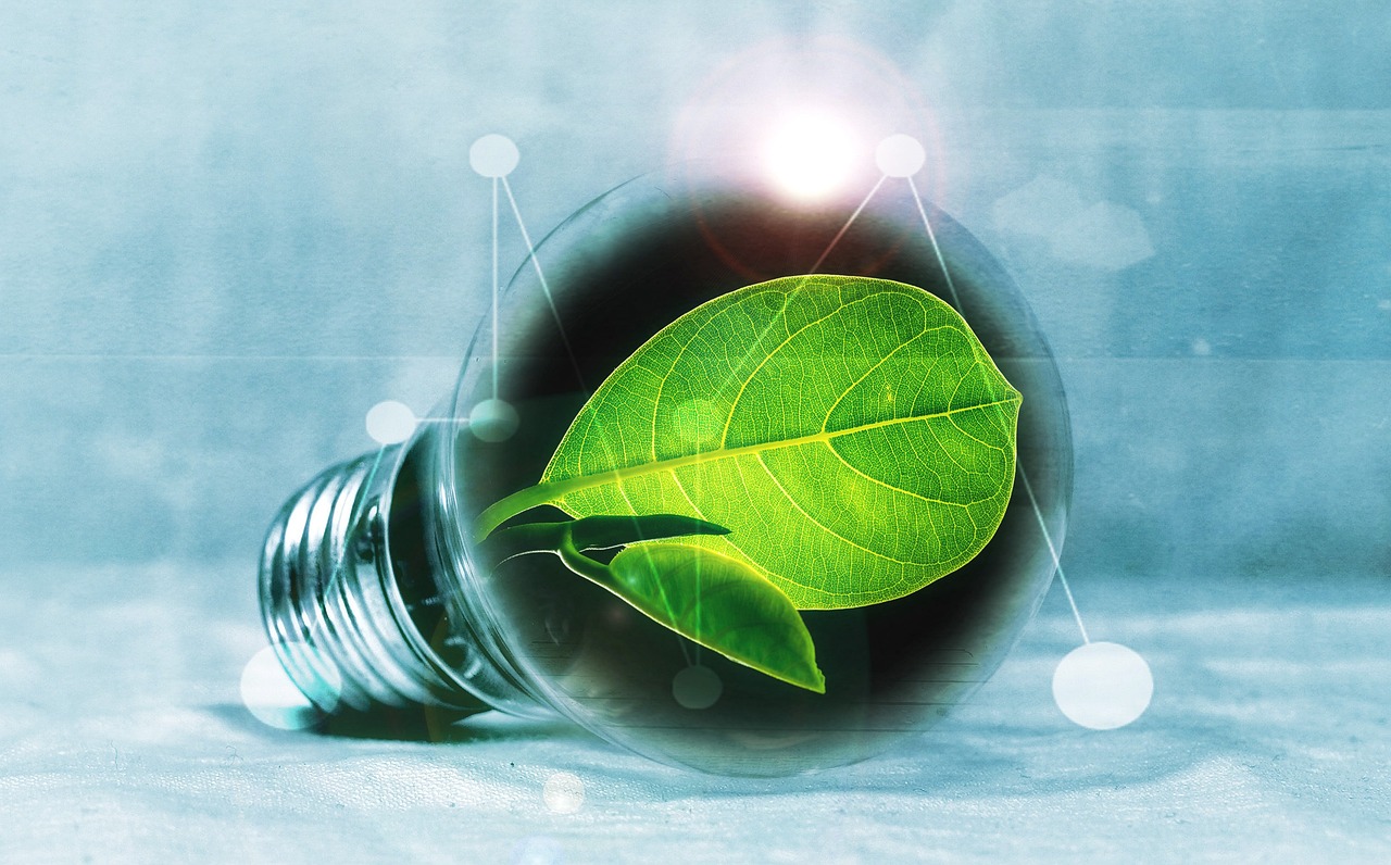 découvrez les enjeux et les solutions de la transition énergétique : changements vers des sources d'énergie renouvelables, innovation technologique et impact sur l'environnement et l'économie.