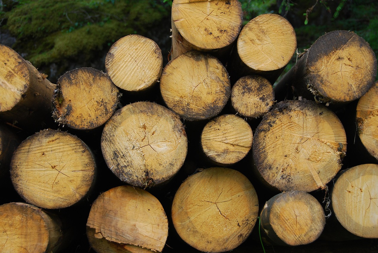 découvrez le potentiel de la biomasse, une source d'énergie renouvelable à partir de matières organiques. explorez ses applications, ses avantages écologiques et son rôle dans la transition énergétique vers un avenir plus durable.