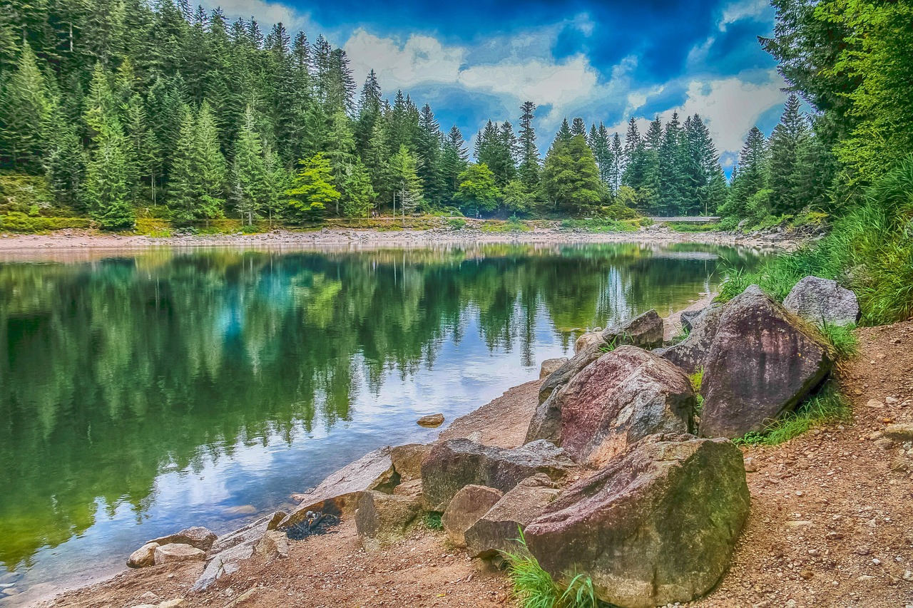 découvrez l'importance de la biodiversité pour notre planète. explorez comment la diversité des espèces contribue à l'équilibre des écosystèmes et à la santé de notre environnement. engagez-vous pour sa préservation.