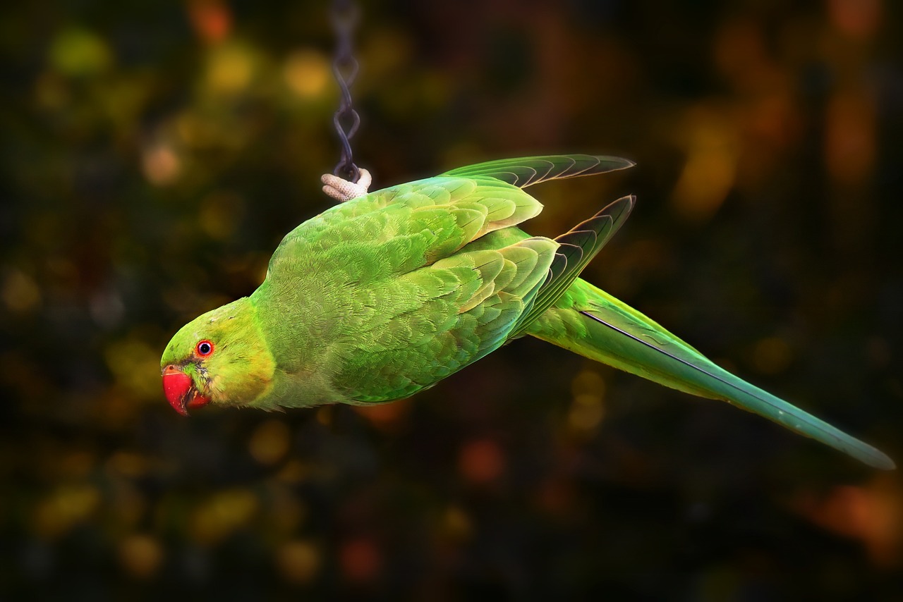 découvrez des stratégies d'adaptation efficaces pour faire face aux changements climatiques et aux défis environnementaux. apprenez comment les individus et les collectivités peuvent renforcer leur résilience et s'adapter aux nouvelles réalités.