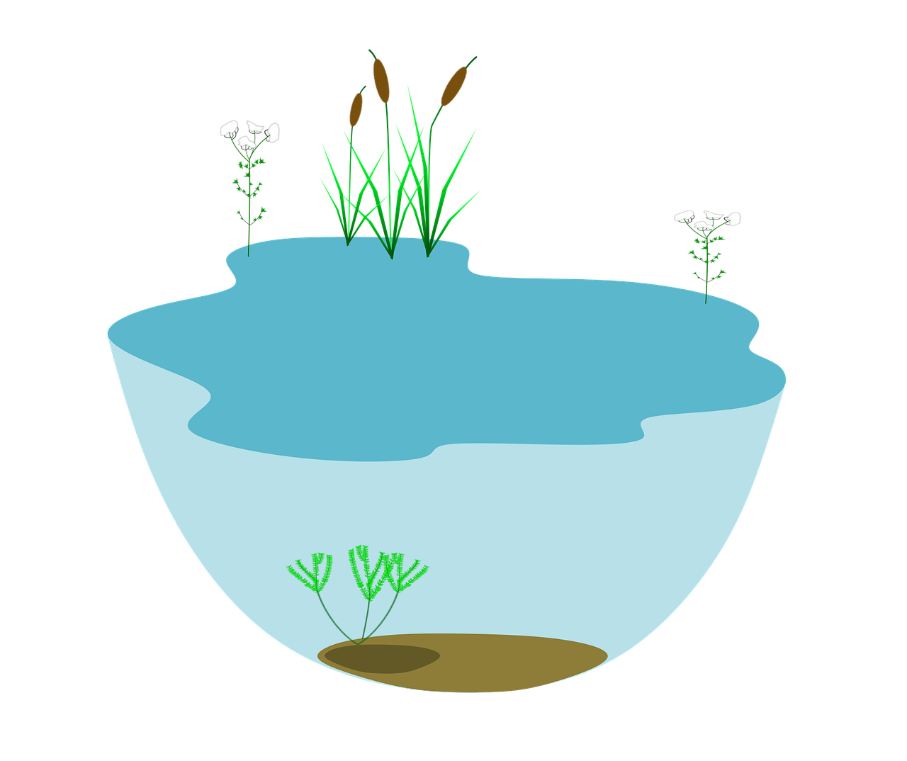 découvrez l'importance de la restauration des écosystèmes pour préserver notre planète. explorez des stratégies efficaces et des initiatives innovantes visant à restaurer la biodiversité, revitaliser les habitats naturels et lutter contre le changement climatique. engagez-vous pour un avenir durable !