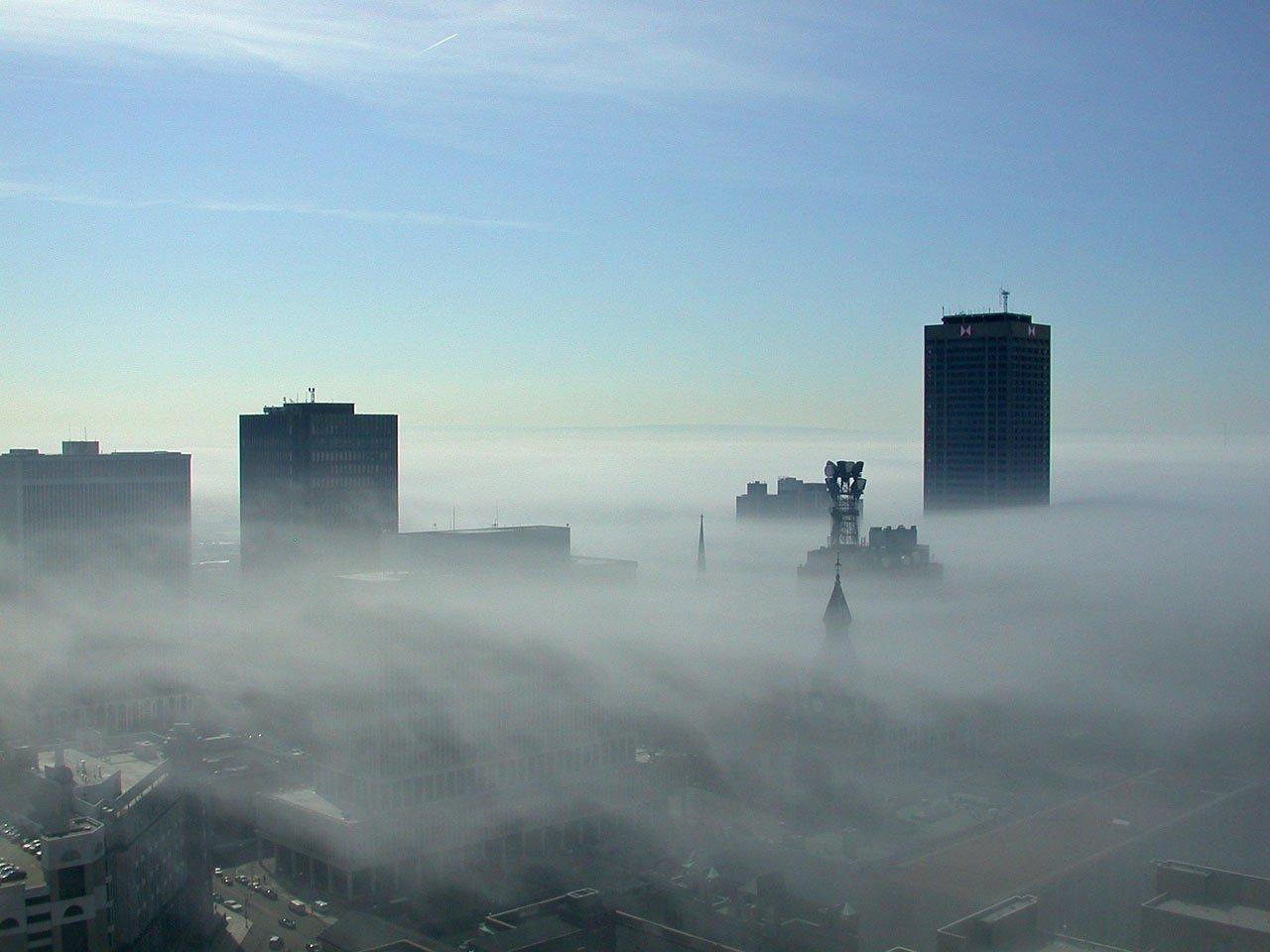 découvrez les causes, conséquences et solutions possibles pour lutter contre la pollution. informez-vous sur les différents types de pollution et leurs impacts sur l’environnement et la santé.