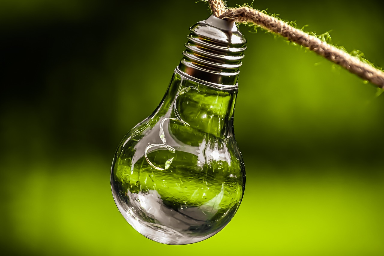 découvrez l'importance de la durabilité et son impact sur notre planète. apprenez des stratégies éco-responsables pour préserver notre environnement et favoriser un avenir plus vert. explorez les innovations et les pratiques qui rendent le développement durable accessible à tous.