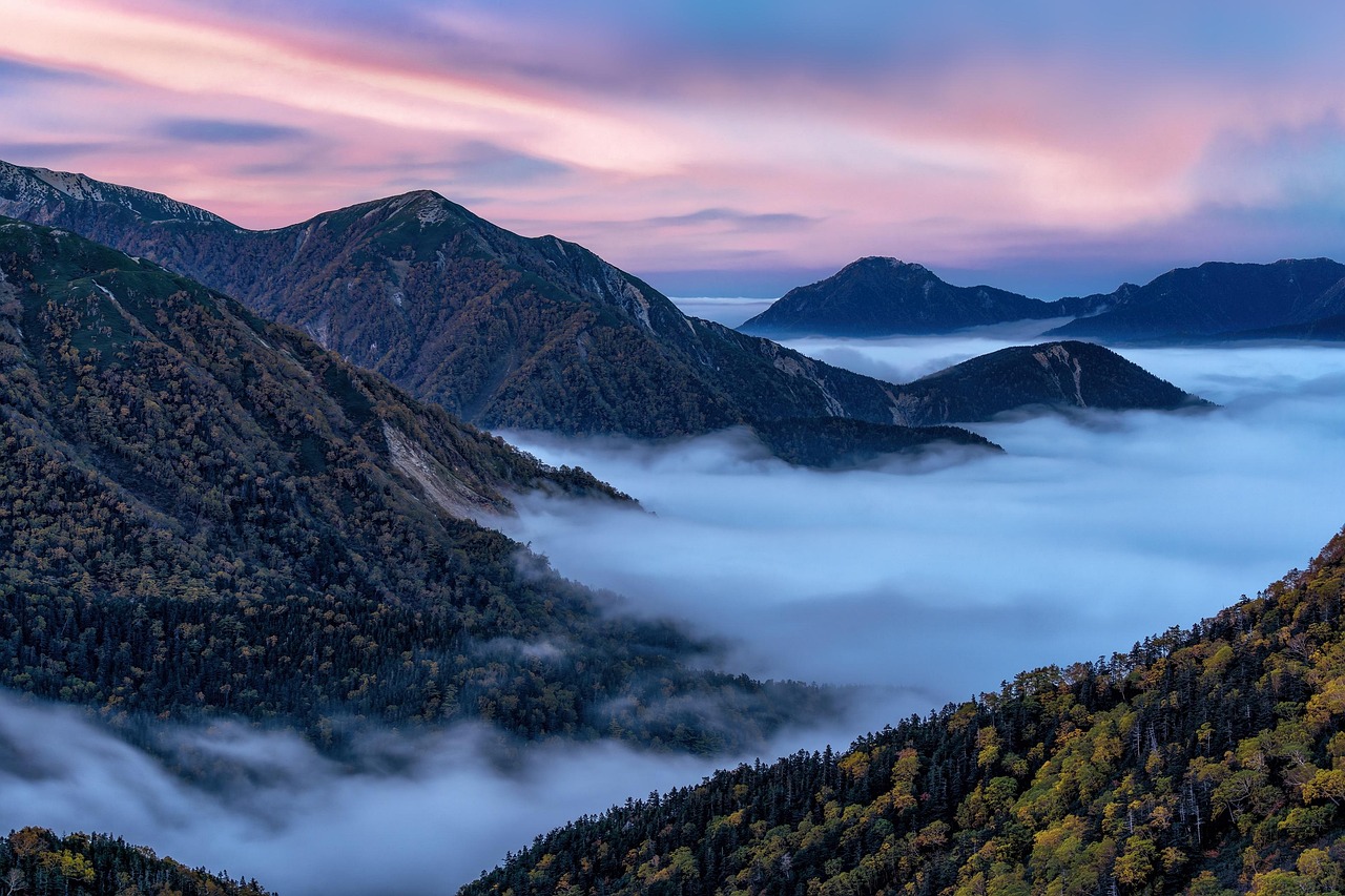 découvrez le one forest summit, un événement international majeur dédié à la protection des forêts et à la biodiversité. rejoignez des experts, des leaders et des passionnés pour des discussions inspirantes, des ateliers interactifs et des initiatives concrètes visant à préserver notre planète. ensemble, agissons pour un avenir durable.