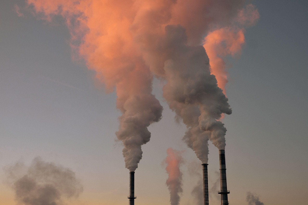 découvrez les dernières actualités, conseils et analyses sur l'environnement : changements climatiques, biodiversité, initiatives écologiques et solutions durables pour protéger la planète.