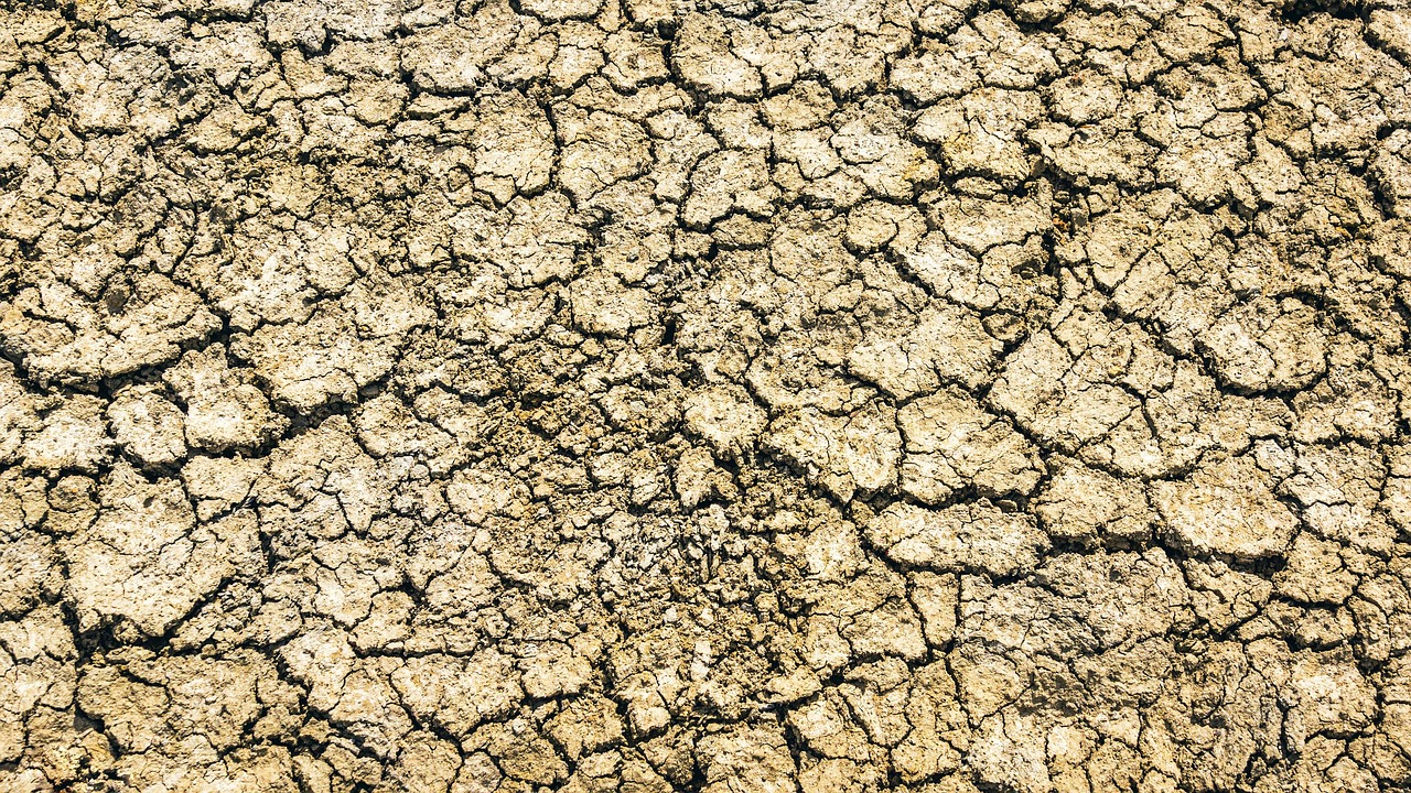 découvrez les causes, les impacts et les solutions à la pénurie d'eau, un enjeu majeur pour l'environnement et la société.
